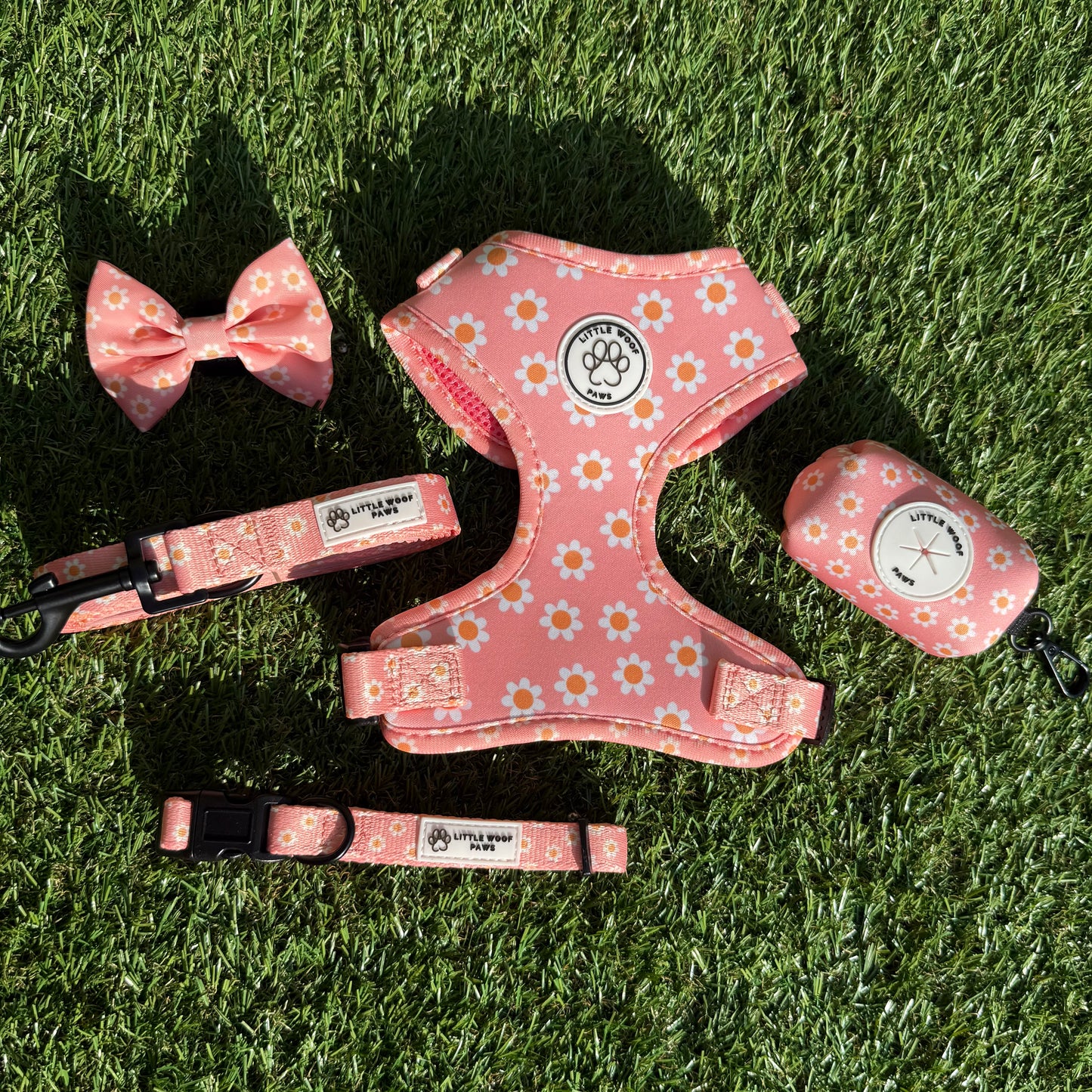 Little Woof Paws - Dazzling Daisy set