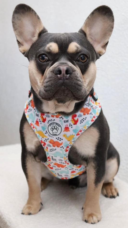 Little Woof Paws - harness Roar!