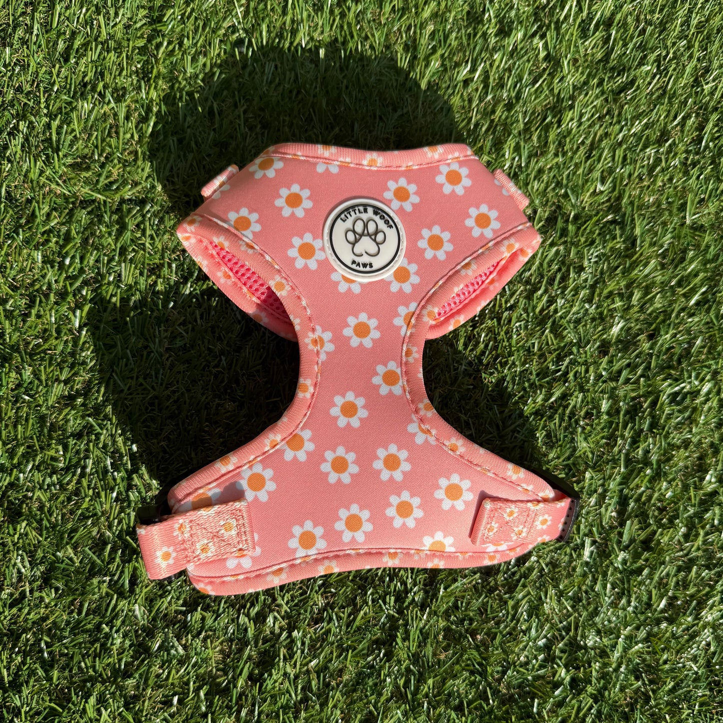 Little Woof Paws - tuigje Dazzling Daisy