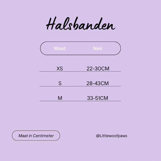 Little Woof Paws - collar Roar!