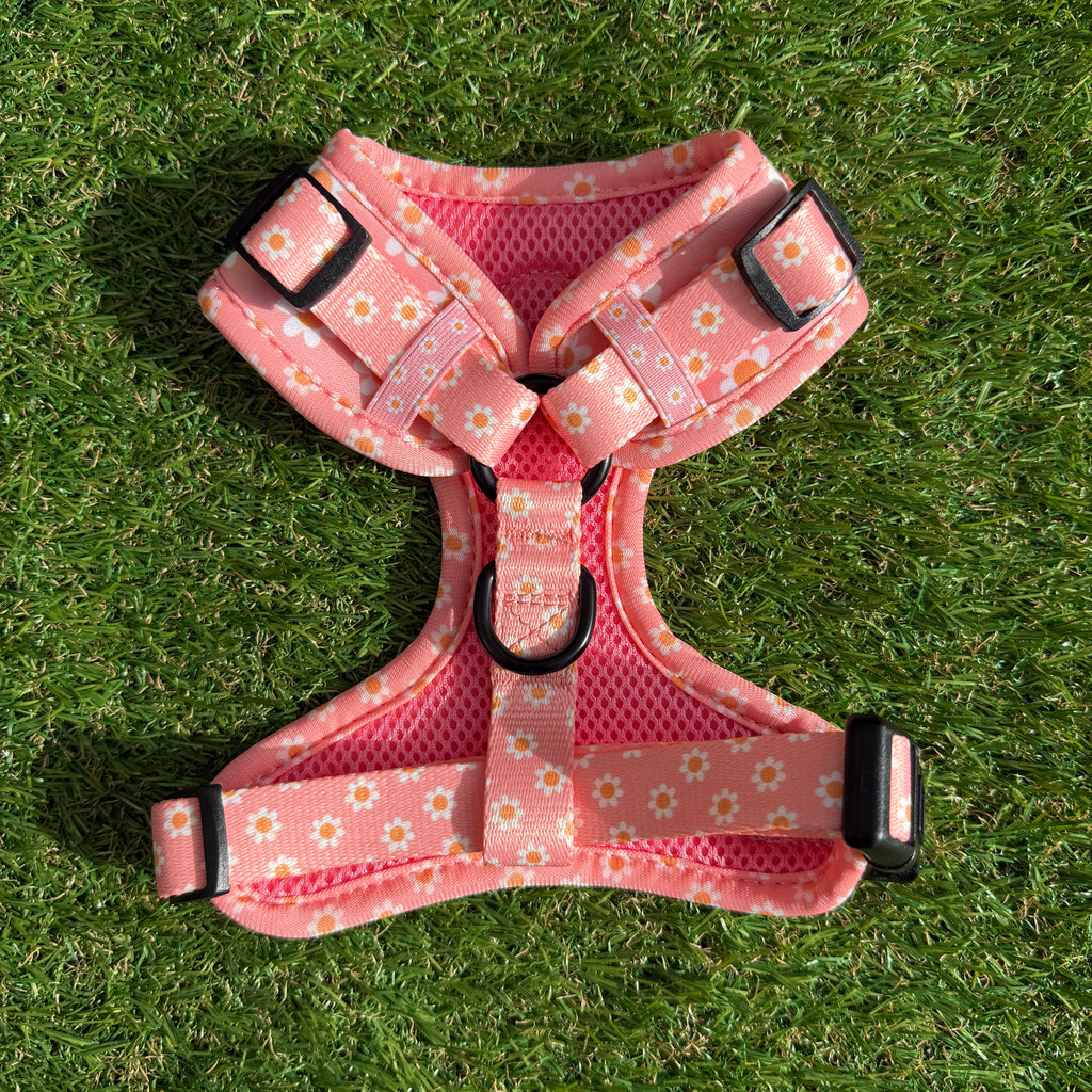 Hondentuigje roze met bloemen - Dazzling Daisy