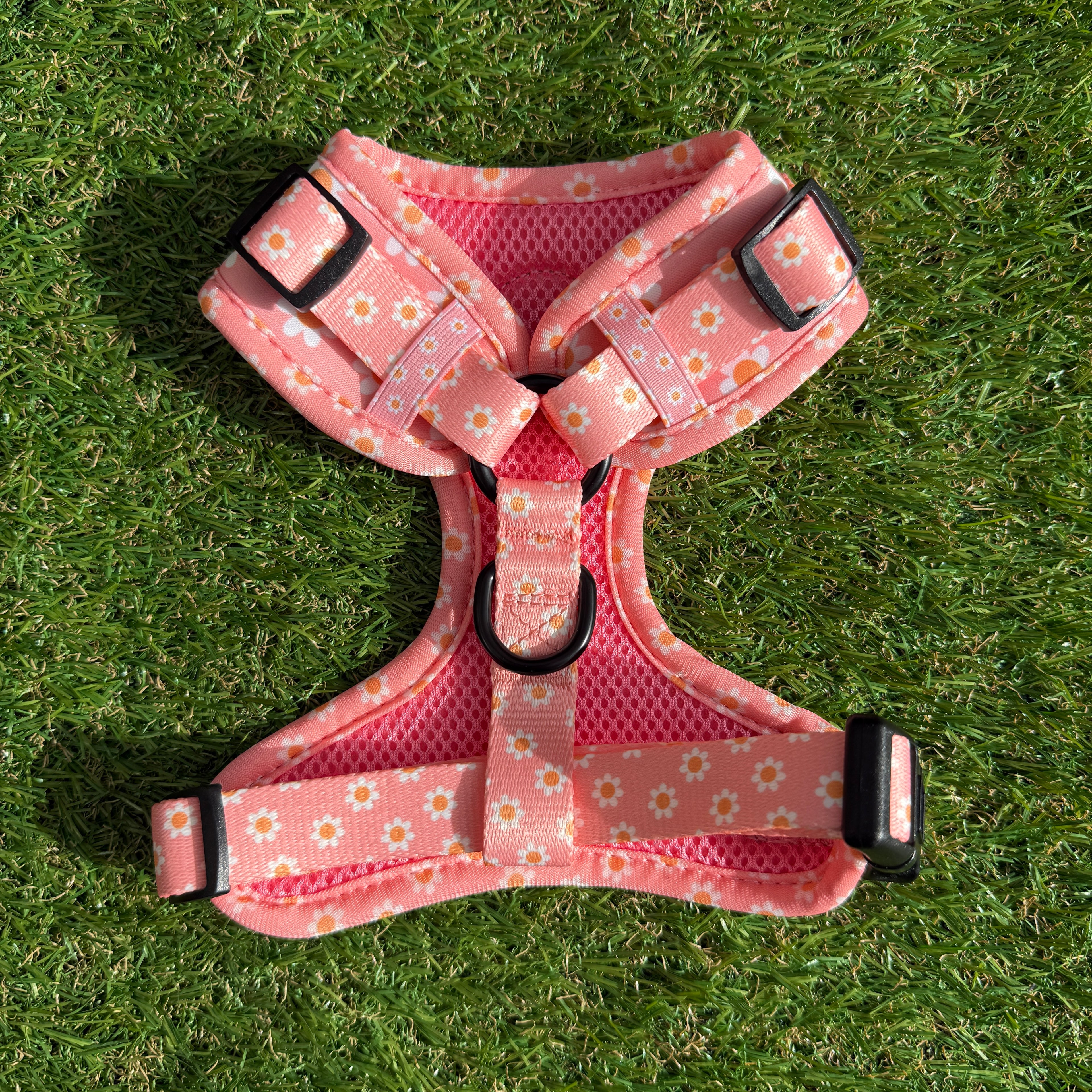 Hondentuigje roze met bloemen - Dazzling Daisy