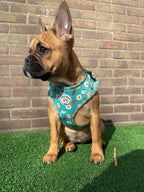 Hondentuigje blauw/groen met ontbijt figuurtjes - Happy Breakfast