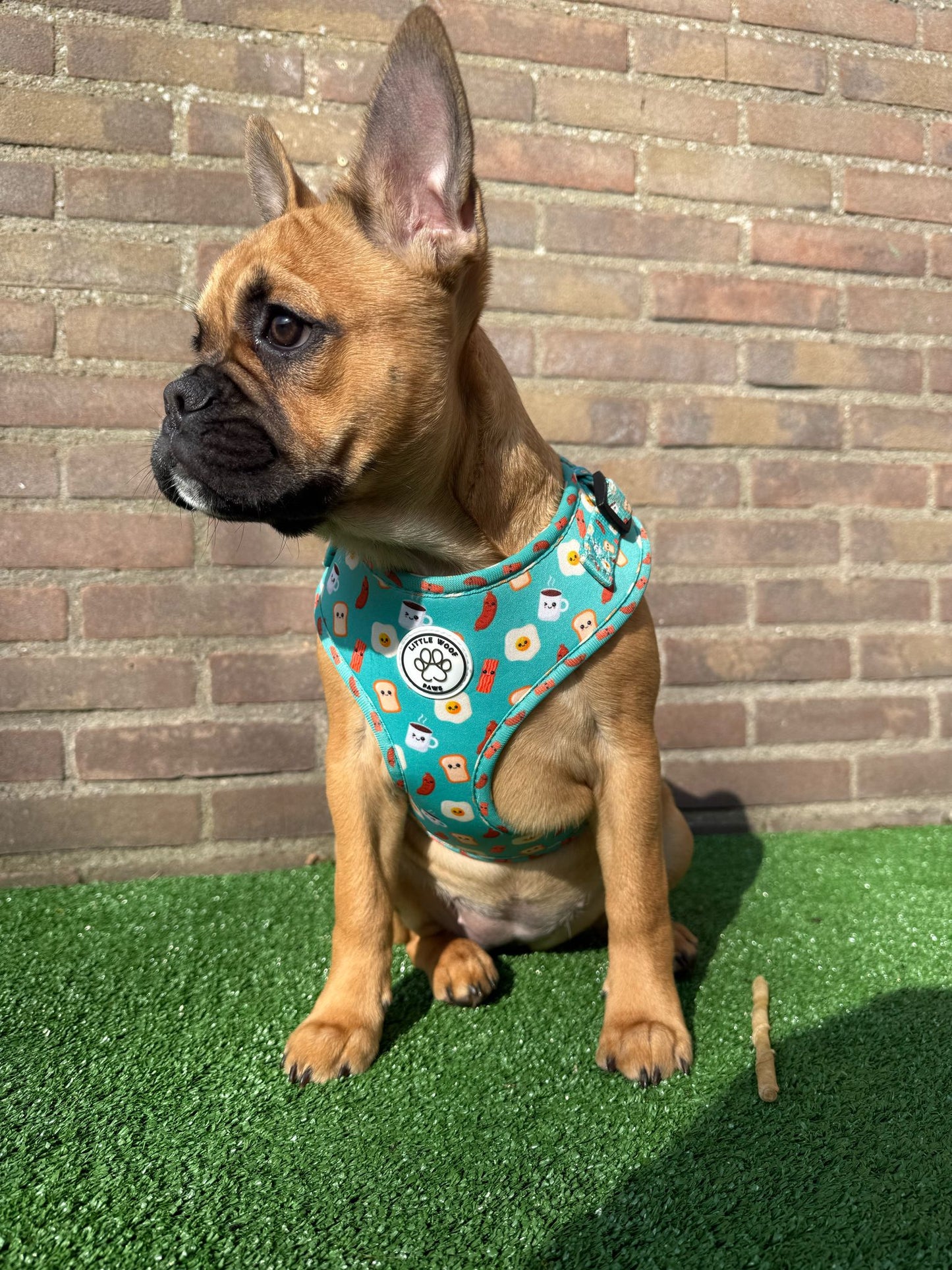 Little Woof Paws - Happy Breakfast harness