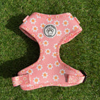 Hondentuigje roze met bloemen - Dazzling Daisy