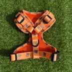 Hondentuigje oranje met beertjes - Bark & Bear