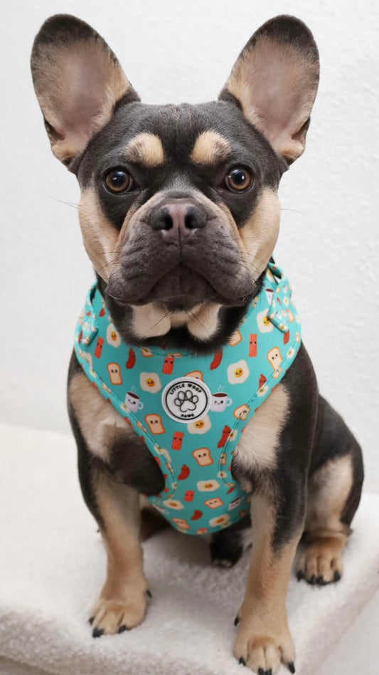 Little Woof Paws - Happy Breakfast harness