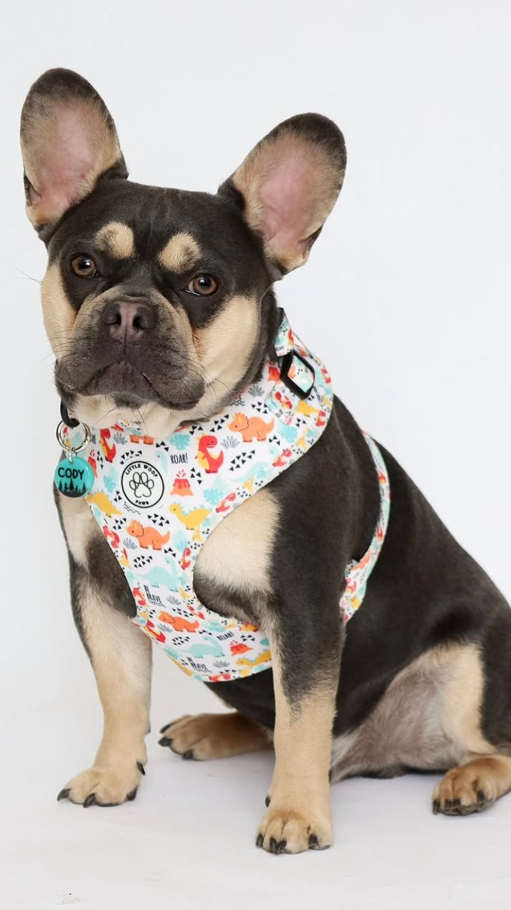 Little Woof Paws - harness Roar!