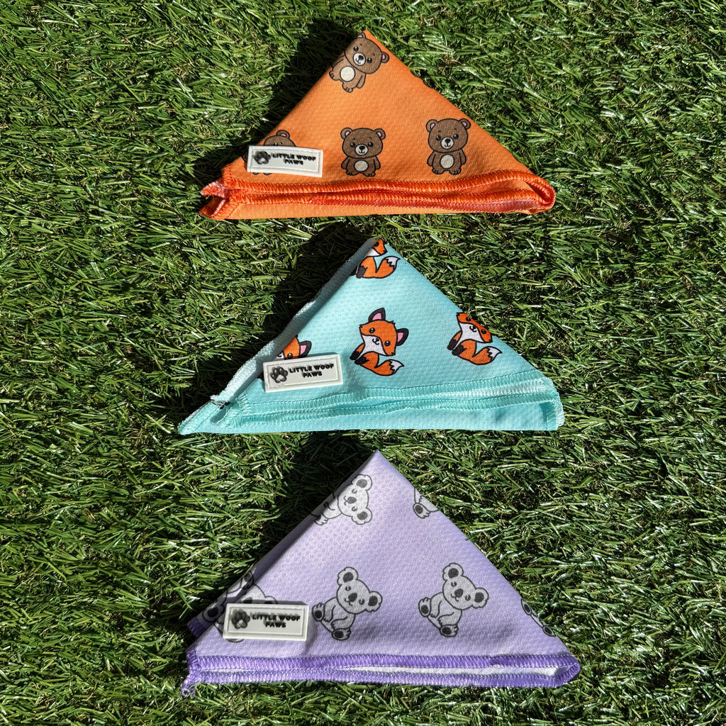 Hondenbandana oranje met beertjes - Bark & Bear