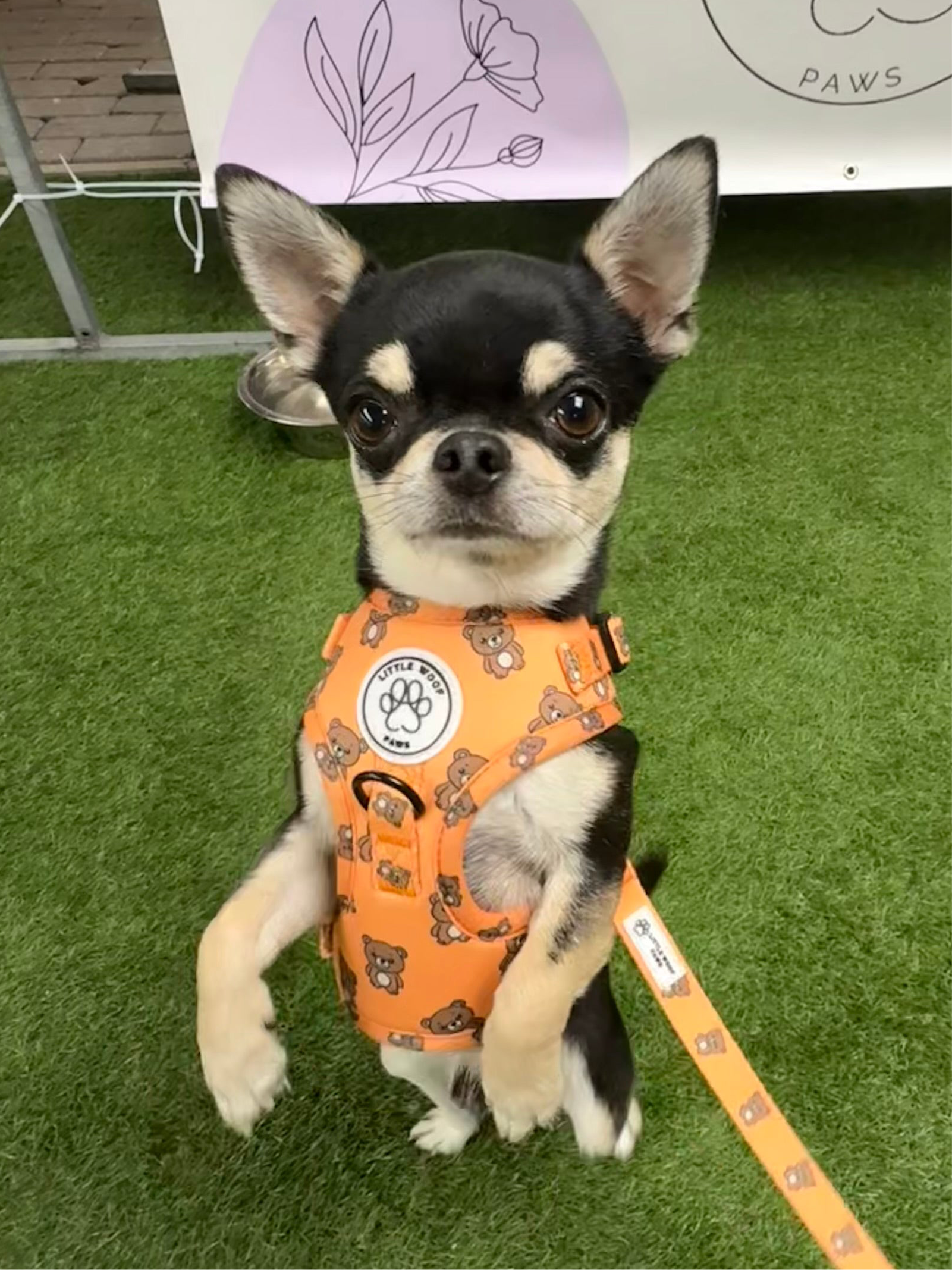 Hondentuigje oranje met beertjes - Bark & Bear