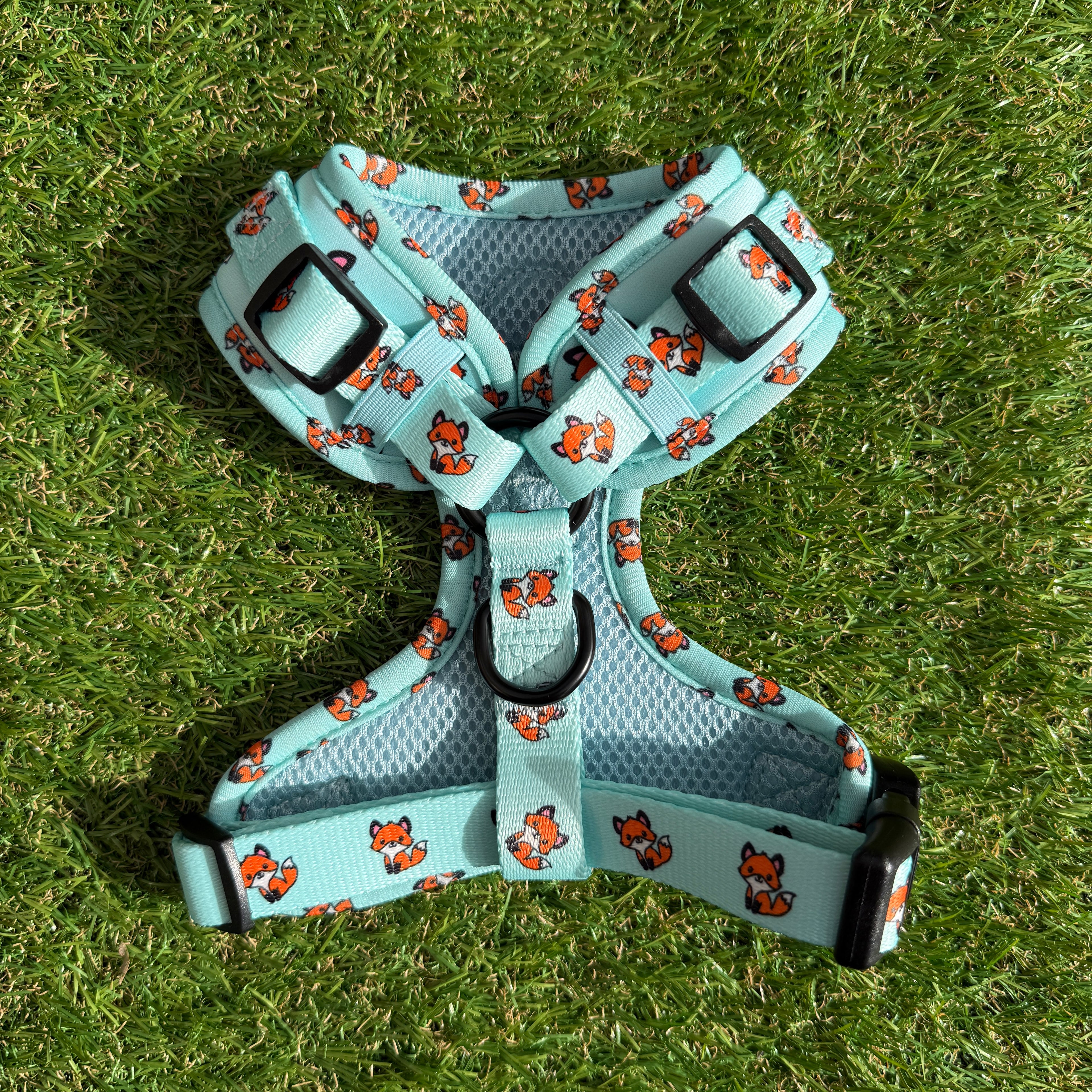 Hondentuigje blauw met vosjes - Fur & Fox