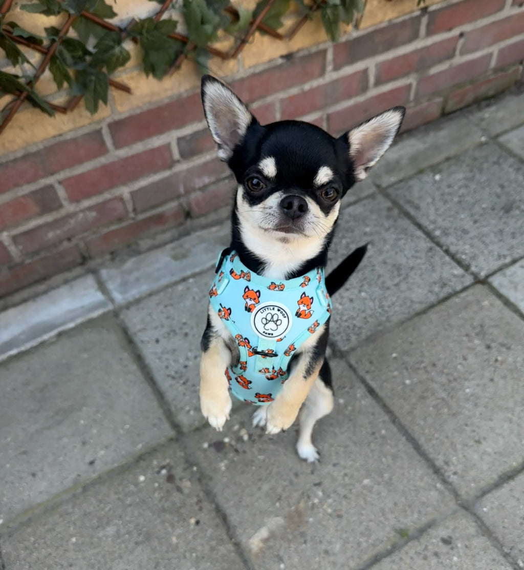 Hondentuigje blauw met vosjes - Fur & Fox