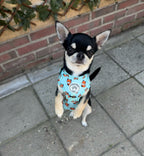 Hondentuigje blauw met vosjes - Fur & Fox