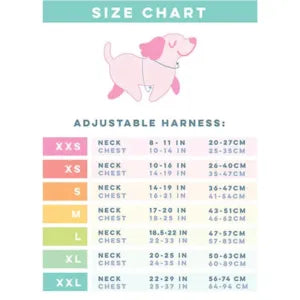 Hondentuigje - Hot Cocoa Club - Sassy Woof