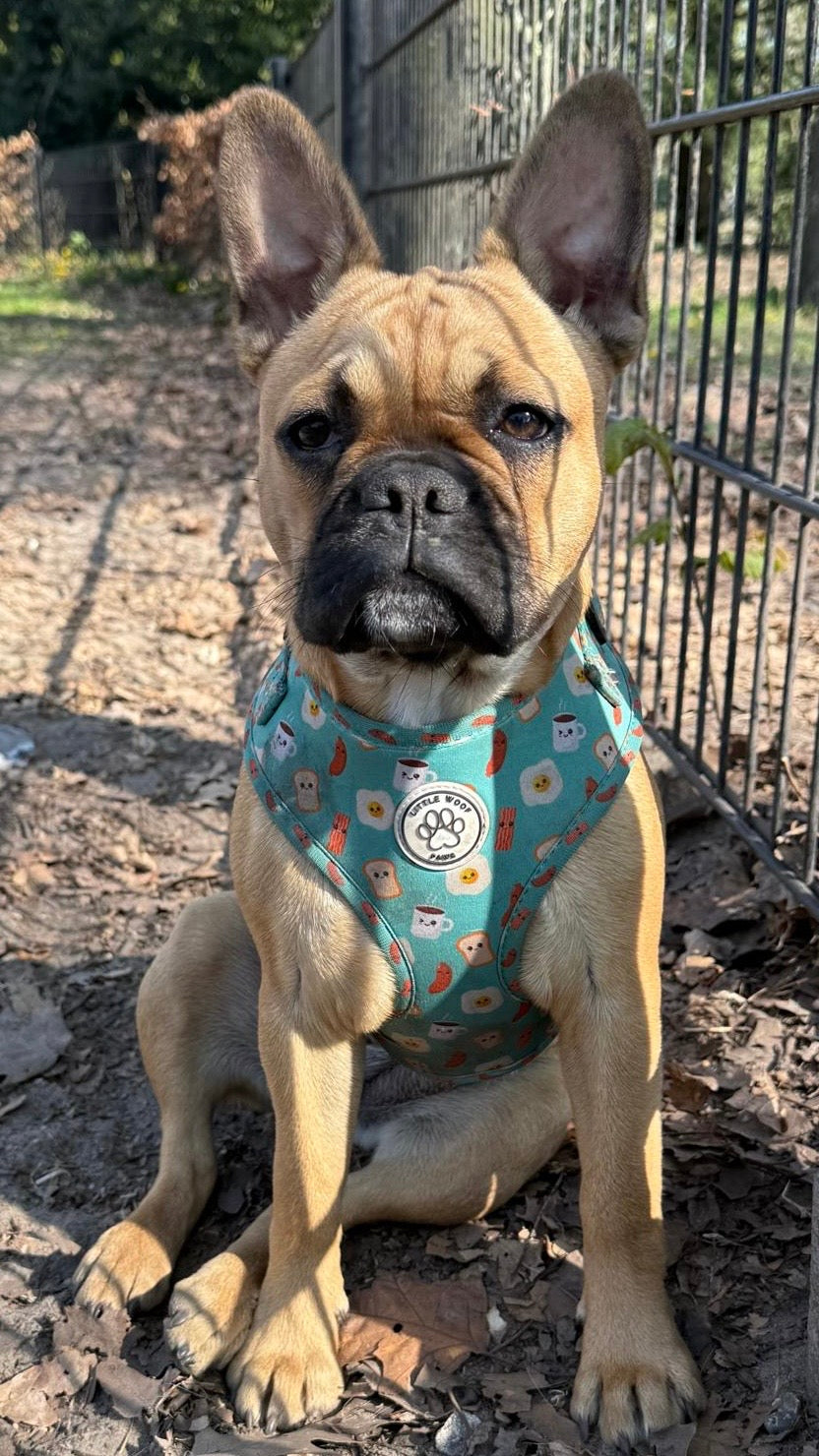 Little Woof Paws - Happy Breakfast harness