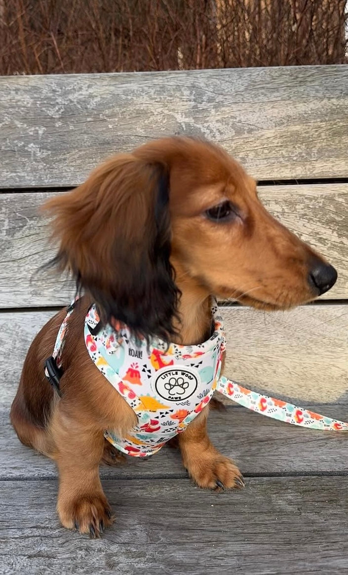Little Woof Paws - harness Roar!