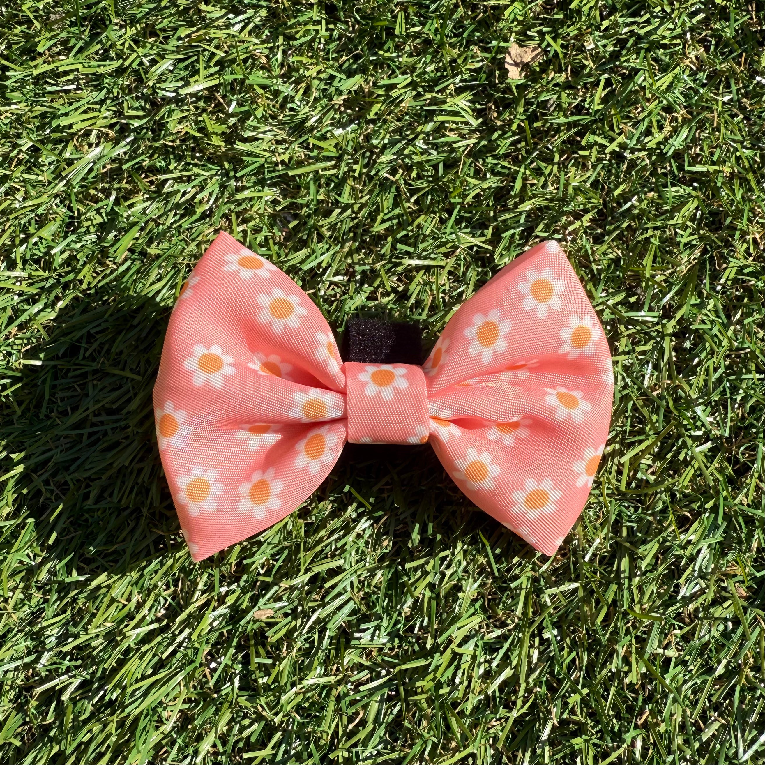 Hondenstrikje roze met bloemen - Dazzling Daisy