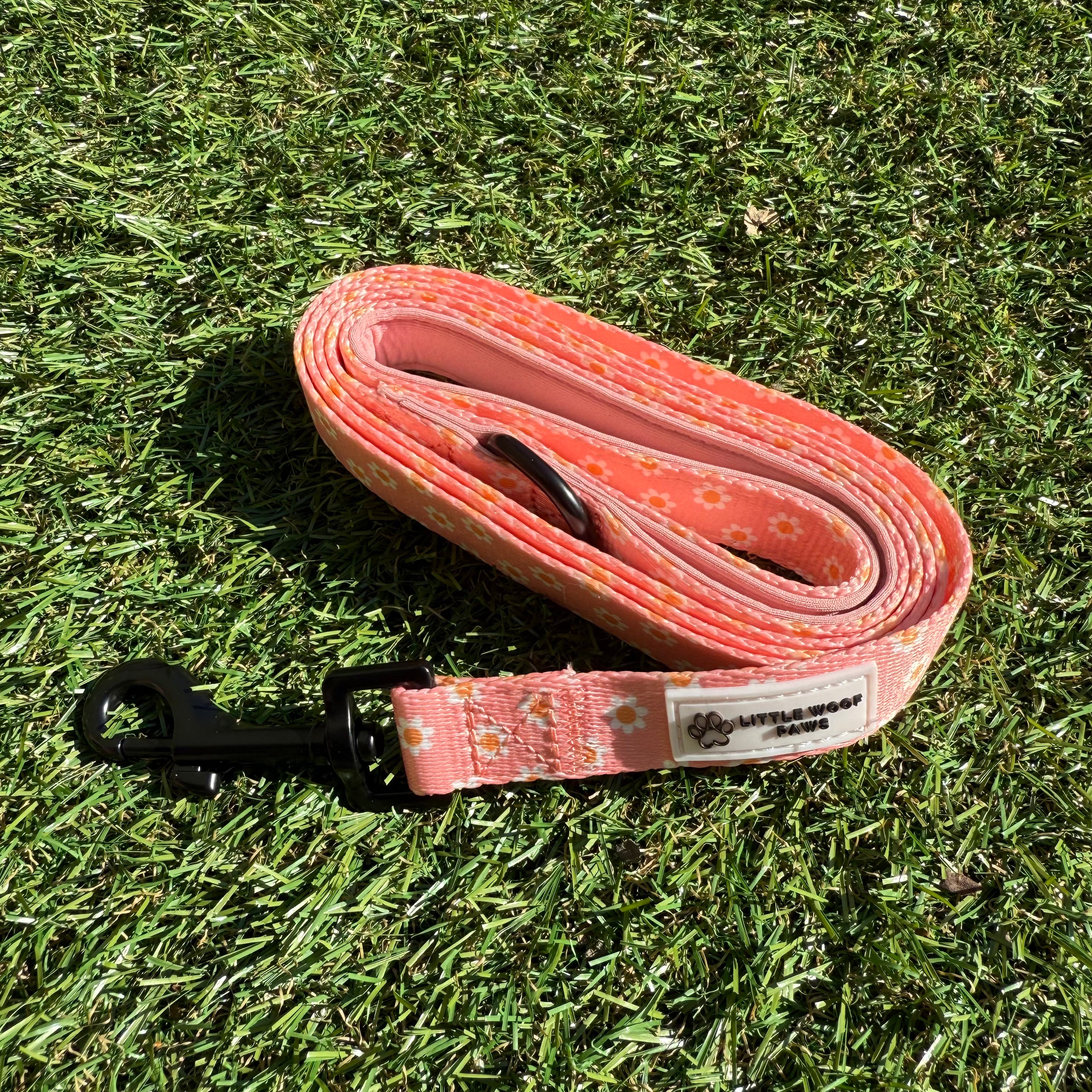 Hondenlijn roze met bloemen - Dazzling Daisy