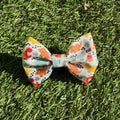 Dinosaur Dog Bow Tie - Roar!