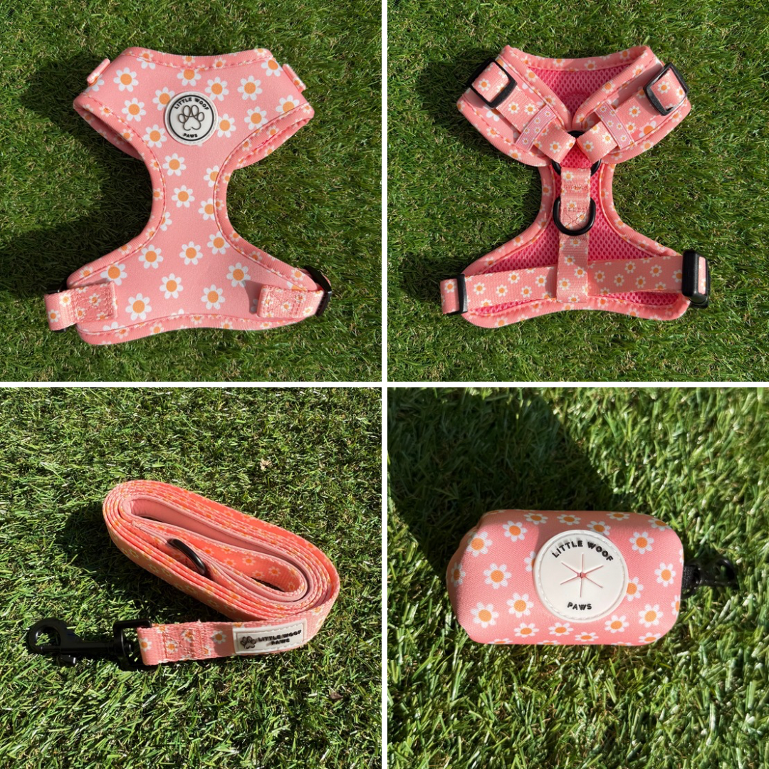 Dazzling Daisy tuigje set