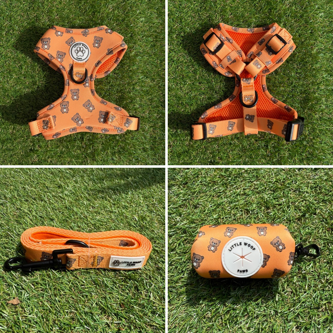 Bark & Bear tuigje set