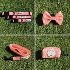 Dazzling Daisy halsband set