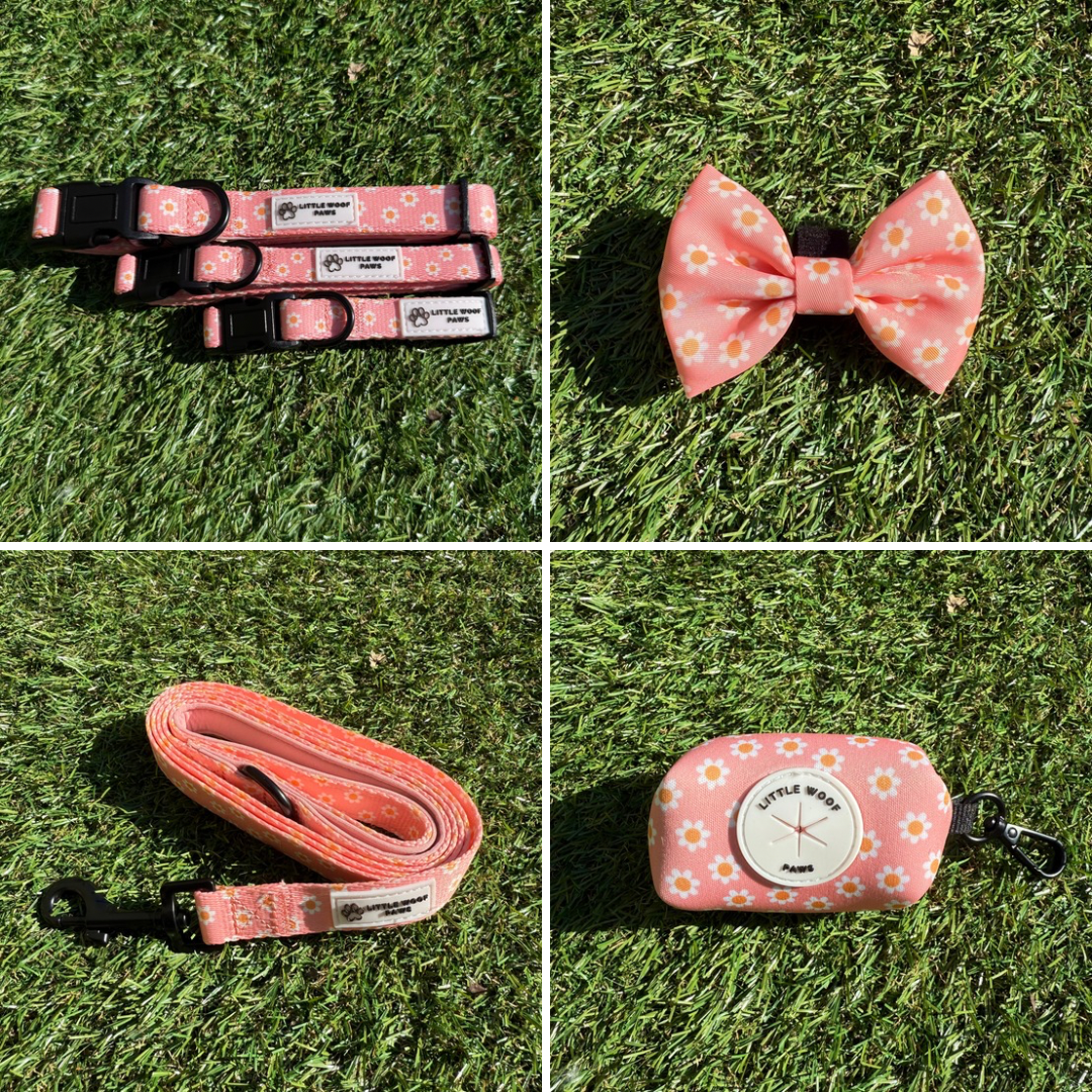Dazzling Daisy halsband set